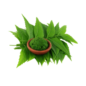 Neem leaves