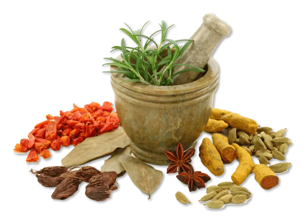 Herbal Medicine