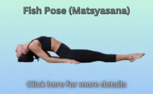 Fish Pose (Matsyasana)