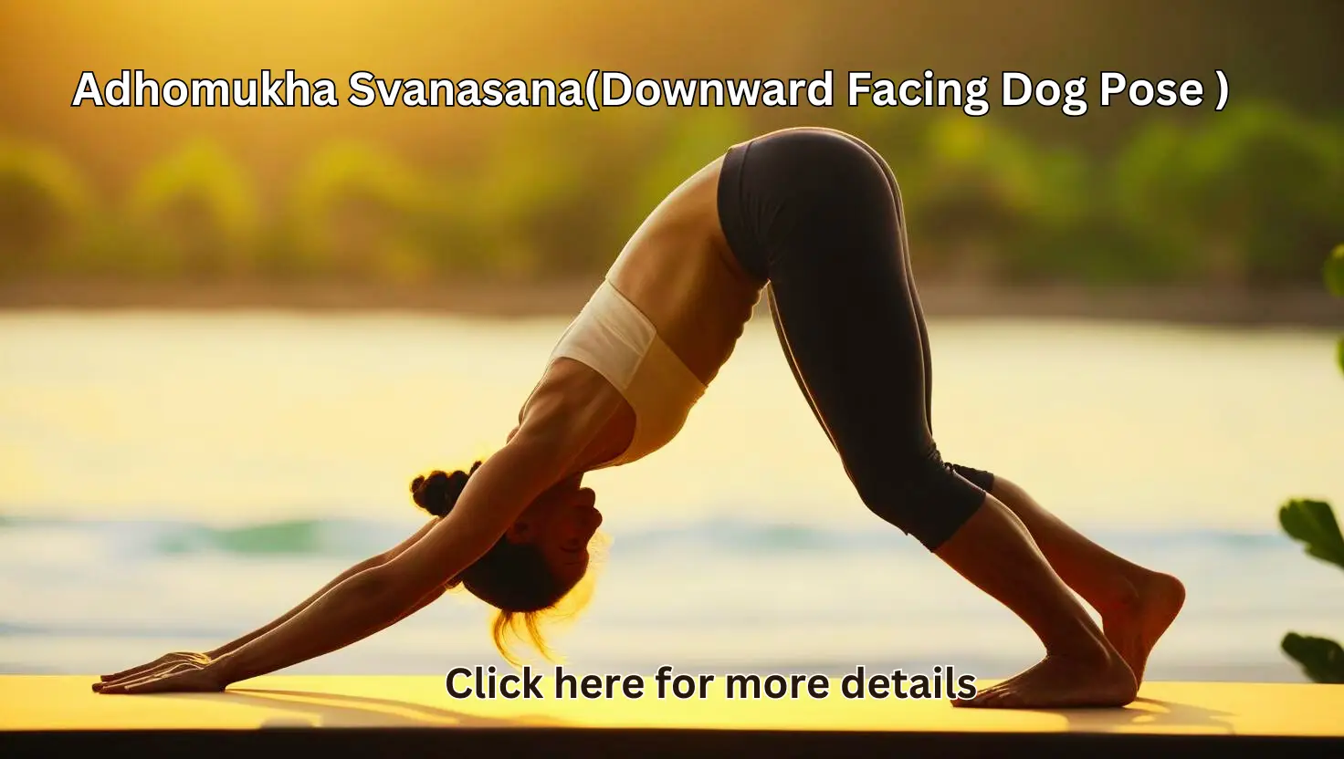 Adhomukha Svanasana(Downward Facing Dog Pose )