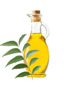 Neem Oil