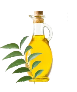 Neem Oil